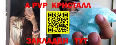 дурь Кингисепп