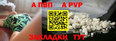 дурь Кингисепп