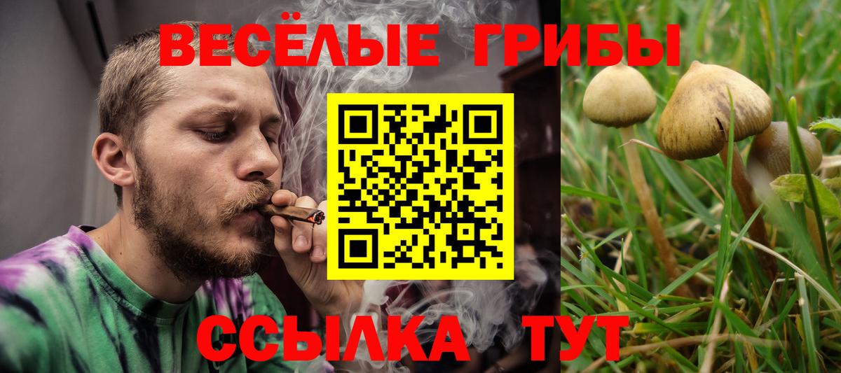 Кохма  Псилоцибиновые грибы мицелий  Вход с VPN 