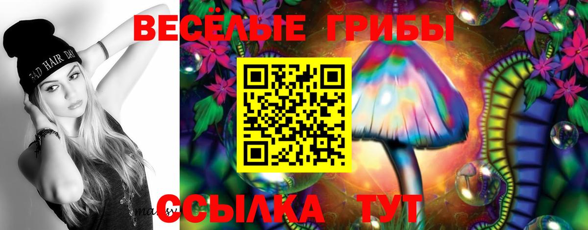 Псилоцибиновые грибы GOLDEN TEACHER Кохма